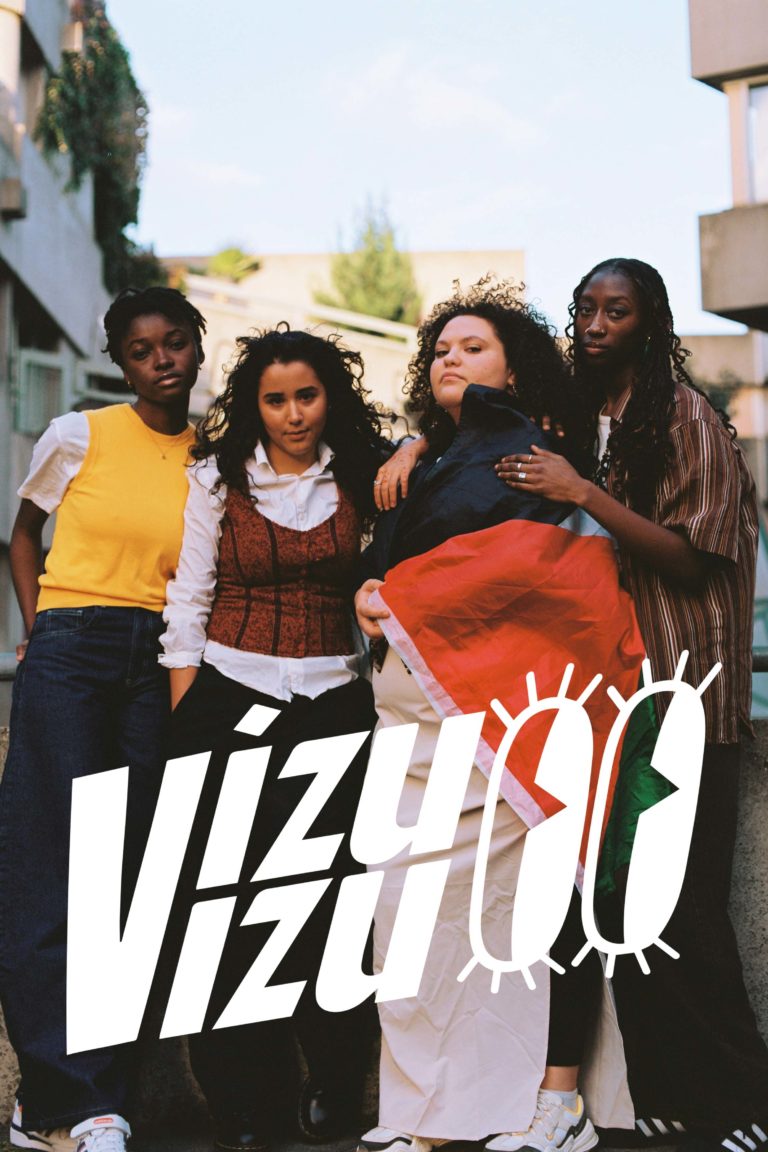 VizuVizu
